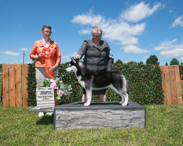 2511a_9128